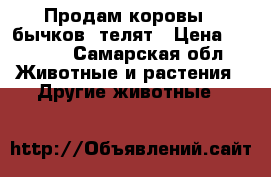 Продам коровы,  бычков, телят › Цена ­ 5 000 - Самарская обл. Животные и растения » Другие животные   